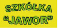 Szkółka Jawor